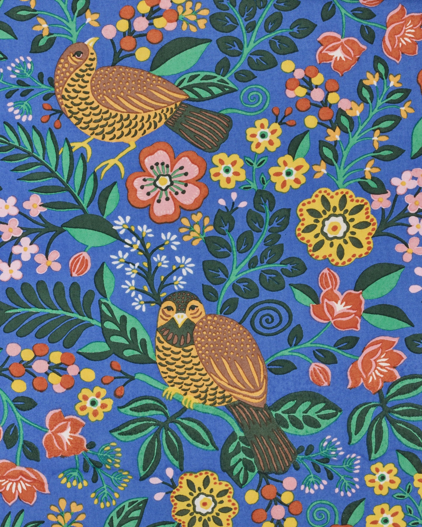 Katie Organic Cotton Blouse in Willow Wren Oasis Print